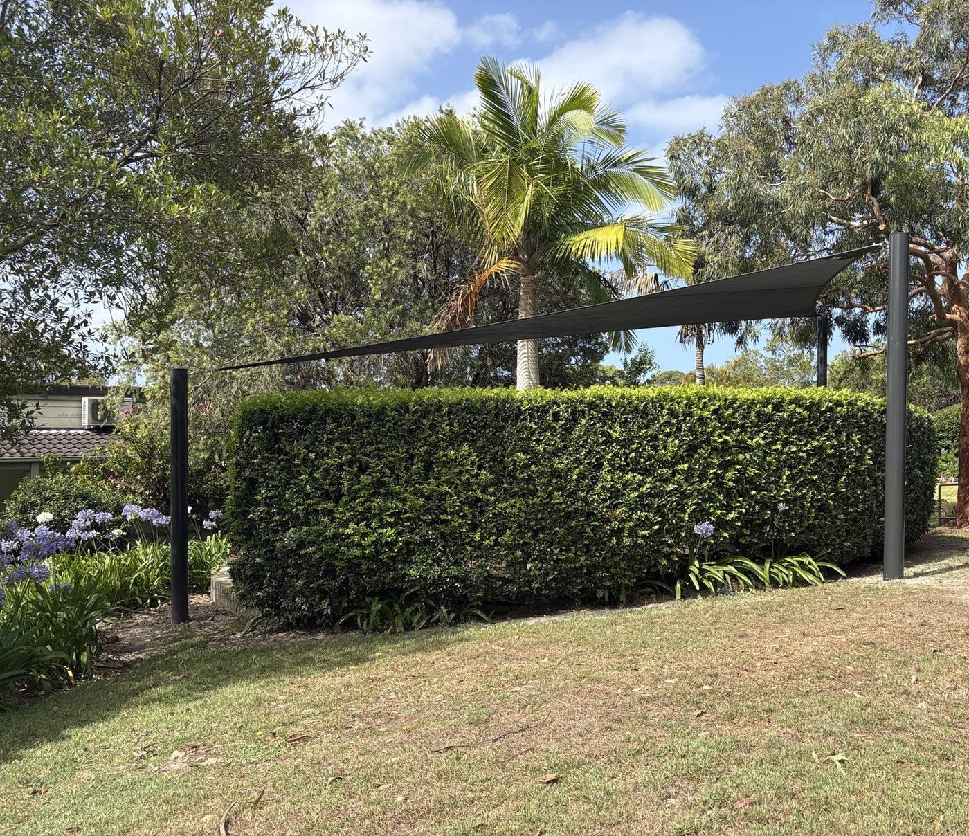 A charcoal shade sail on grey posts spans a lawn behind a tall clipped hedge, palms beyond., Narrabeen